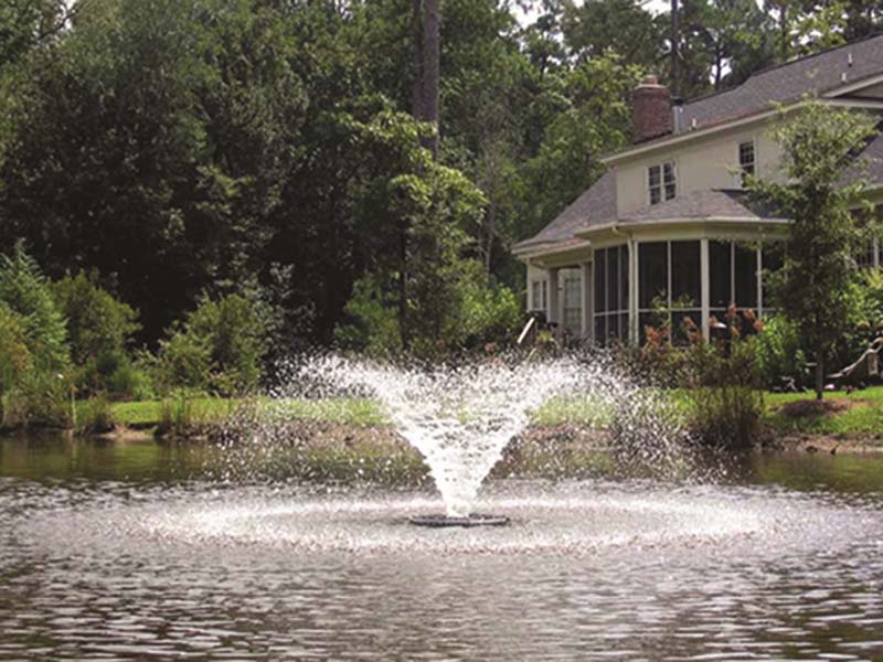 Calyx Fountain